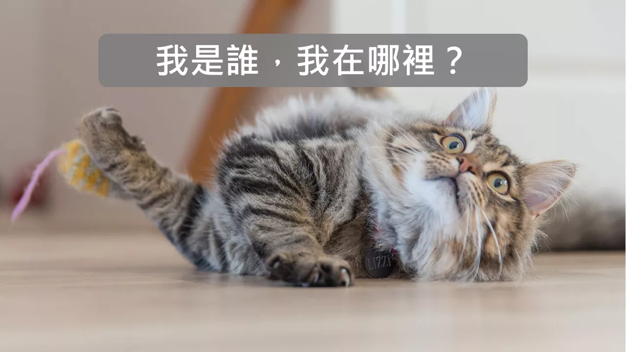 我是誰？我在哪裡？